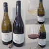 Garnet Valley Ranch Chardonnay and Pinot Noir 2022