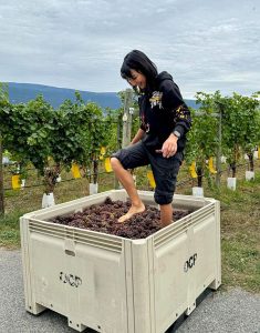 Foot stomping on grapes at Haywire