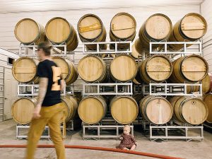 Lighthall Vineyards barrels and aspiring winemaker