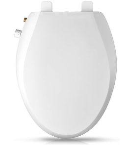 bidet seat