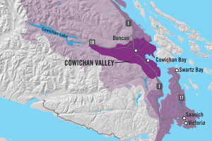 BC Winegrowers Cowichan Sub-GI close up