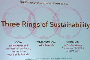 Three Rings of Sustainability