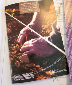 Bourgogne Wines, The First Step Towards the Notion of Terroir Seminar