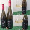 Township 7 Benchmark Series Raju Vineyard Viognier 2023 and Benchmark Series Wheeler Family Vineyard Gewürztraminer 2022