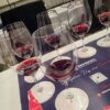VanWineFest 2026 Beaujolais Dig into Diversity Seminar