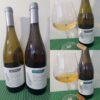 Cave Spring Vineyard Chardonnay CSV 2023 and Chardonnay Musqué 2022 with wines in glasses