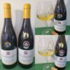 Wending Home Estate Vineyards & Winery Estate Vineyard Chardonnay 2020 and 2021 with wines in glasses