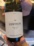 Seegut Lentsch Grüner Veltliner 2025