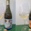 Let’s Compare Two 2025 BC Okanagan Viognier_PR SAMPLE Blasted Church Vineyards and Hester Creek Estate Winery Viognier 2025