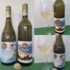 Two Aromatic White Wines for the Summer from Blasted Church Vineyards_PR SAMPLE Blasted Church Vineyards Viognier 2025 and Sauvignon Blanc 2025 with wines in glasses