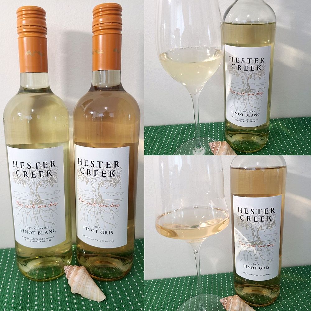 Hester Creek Estate Winery Old Vine Pinot Blanc 2025 and Pinot Gris 2025 with wines in glasses