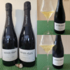 Two Sparkling Varietal Wines from BC’s Township 7 Vineyards & Winery_PR SAMPLE Township 7 Vineyards & Winery seven stars Rigel Sparkling Wine 2023 and seven stars Aurora Sparkling Wine 2022 with wines in glasses