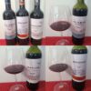 Three Argentinean Malbecs for the BBQ Season_PR SAMPLE Trapiche Alaris Malbec 2025, El Esteco Don David Reserve Malbec 2023, and Trapiche Reserve Selected Vineyards Malbec 2024 with wines in glasses