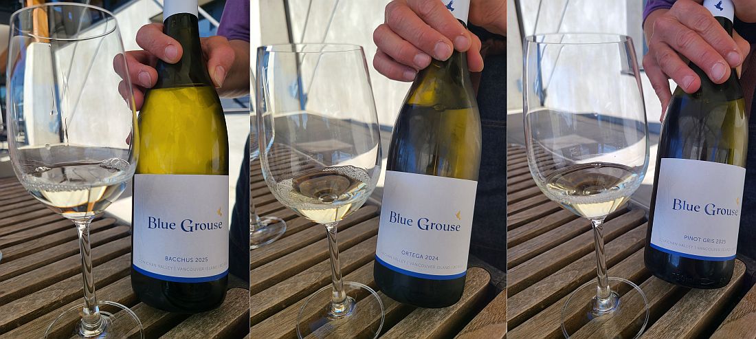 Blue Grouse Estate Winery Bacchus 2025, Ortega 2024, and Pinot Gris 2025 wines