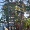 Sightseeing the Malahat SkyWalk on Vancouver Island Malahat SkyWalk tower