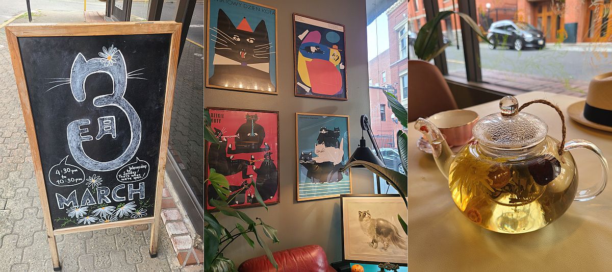 March Restaurant loves cats, plus a special pot of tea