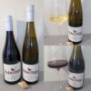 Enjoying Two Organic BC Wines: Robin Ridge Winery Riesling and Gamay 2022_PR SAMPLE Robin Ridge Winery Gamay and Riesling 2022 with wines in glasses