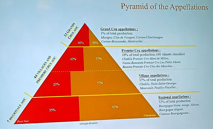Burgundy's Appellation Pyramid