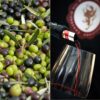How Tuscan Wine and Olive Oil are Redefining European Heritage for Canadians Consortium and Tuscan Olive Oil PDO and PGI and Nobile di Montepulciano DOC and DOCG