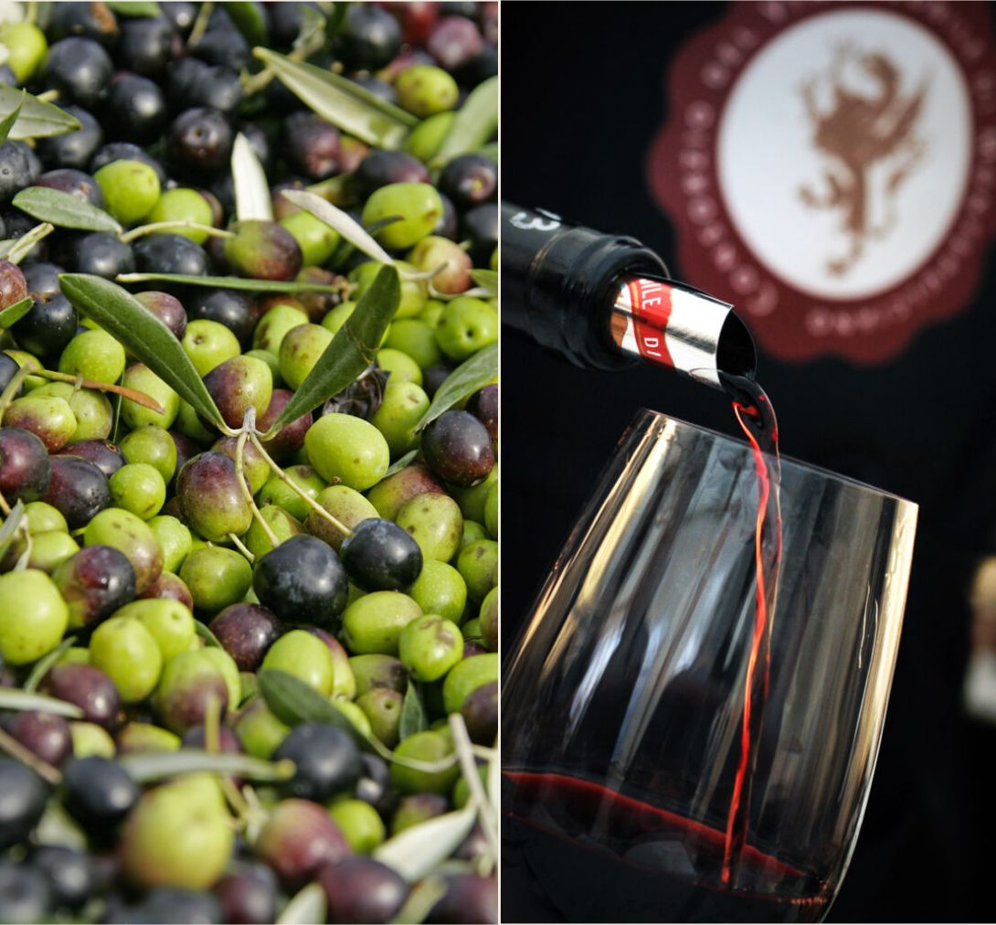 Tuscan Olive Oil PDO and PGI and Nobile di Montepulciano DOC and DOCG Consortium