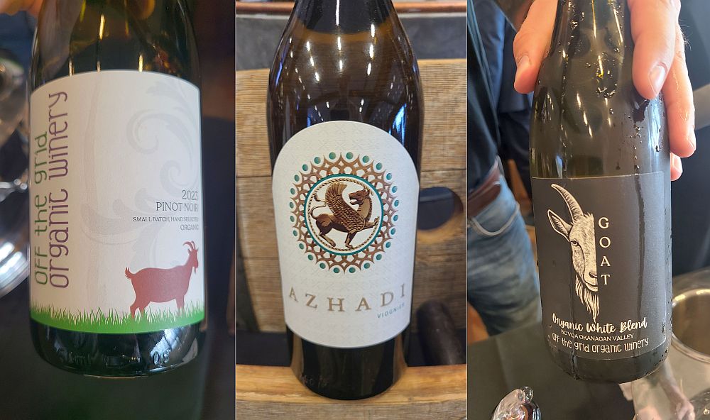 Off The Grid Organic Winery Pinot Noir 2023, Azhadi Vineyards Viognier 2025, and Off The Grid Organic Winery White Blend 2025 wines