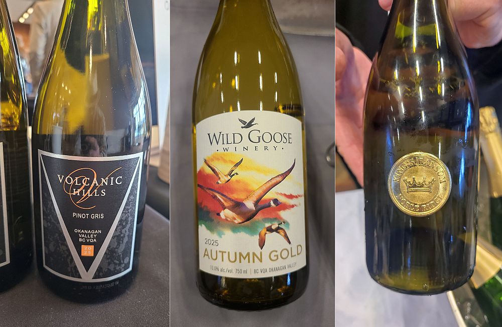 Volcanic Hill Wines Pinot Gris 2025, Wild Goose Winery Autumn Gold 2025, and Noble Ridge Vineyards & Winery Block 4 Old Vines Kings Ransom Chardonnay 2024 wines